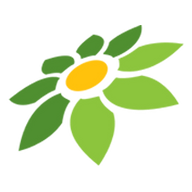LINK KOISLOT